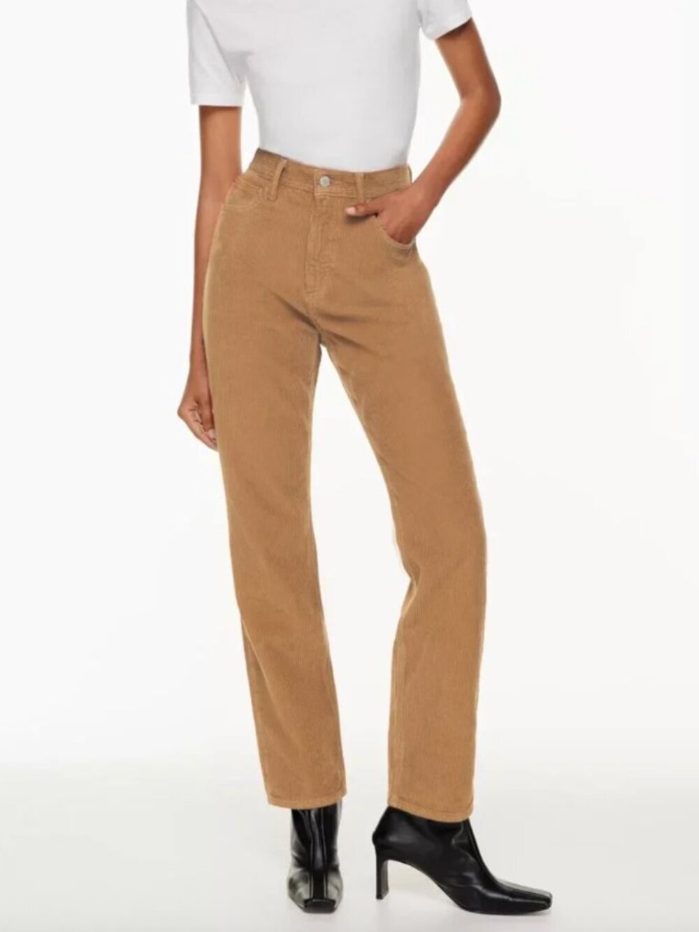 Aritzia Denim Forum Joni Corduroy Pant